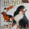 Mein grosses Hunde buch &ndash; David Taylor