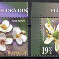 ROMANIA 2021, Floră din rezervațiile naționale, serie neuzata, MNH, 2318