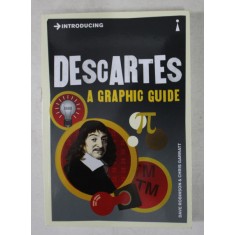 DESCARTES - A GRAPHIC GUIDE by DAVE ROBINSON and CHRIS GARRAIT , 2013