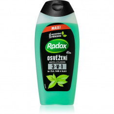 Radox Refreshment gel de dus revigorant pentru barbati 400 ml