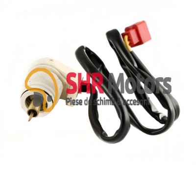 03. Soc electric carburator Linhai foto