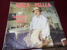 DISC VINIL AMZA PELLEA MOMENTE VESELE 3 foto