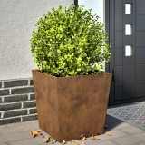 VidaXL Jardiniere de grădină 2 buc 50x50x50 cm Oțel pentru intemperii