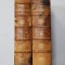 SHAKESPEARE - LEXIKON - A COMPLETE DICTIONARY by ALEXANDER SCHMIDT , VOLUMELE I - II , 1886