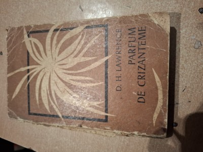 Carte parfum de crizanteme foto