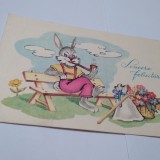 CARTE POSTALA FELICITARE NECIRCULATA