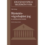 B&uuml;ntet&eacute;s-v&eacute;grehajt&aacute;si jog &eacute;s szab&aacute;lys&eacute;rt&eacute;si t&eacute;telek - Hetedik, &aacute;tdolgozott kiad&aacute;s - V&oacute;k&oacute; Gy&ouml;rgy