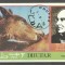 Dhufar 1979 Rowland Hill, Horses, imperf.sheet, used AI.040