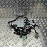 Cablaj ușă st&acirc;nga față LAND ROVER RANGE ROVER EVOQUE L538 2015 OEM: EJ32-14630-BED 32381929