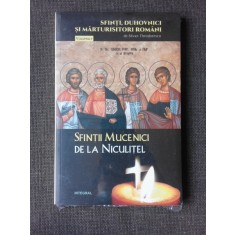 SFINTII MUCENICI DE LA NICULITEL - SILVAN THEODORESCU