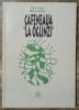 Cafeneaua ,,La Oglinzi&quot; - Giuliana Morandini