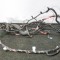 Cablaj ușă dreapta față TESLA MODEL 3 2019 OEM: 1067963-00-E 11248597
