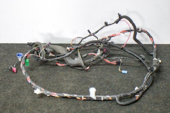 Cablaj ușă dreapta față TESLA MODEL 3 2019 OEM: 1067963-00-E 11248597