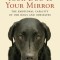 Your Dog Is Your Mirror: The Emotional Capacity of Our Dogs and Ourselves