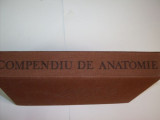 Compendiu De Anatomie - Mircea Ifrim, Gheorghe Niculescu ,550261