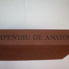 Compendiu De Anatomie - Mircea Ifrim, Gheorghe Niculescu ,550261