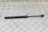 Amortizor capota dreapta față TESLA MODEL 3 2020 OEM: 1091472-00-B 14902907