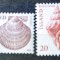 Islanda 1982 fauna marina scoici serie 2v neștampilat