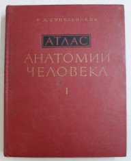 ATLAS DE ANATOMIE UMANA (RUSA) VOL. I 1978-R.D.SINELNIKOV foto