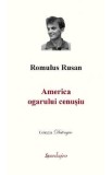 America ogarului cenusiu Ed.2 - Romulus Rusan