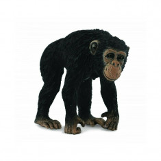 Collecta - Figurina Cimpanzeu Femela