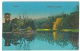 1874 - BUZAU, Park, Romania - old postcard - used - 1917