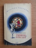 Cumpara ieftin M. Svesnikov - Tainele sticlei