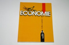 Economie - Angelescu