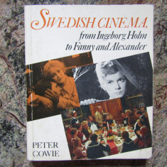 Swedish cinema, from Ingeborg Holm to Fanny and Alexander - Peter Cowie