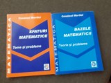 CRISTINEL MORTICI SFATURI MATEMATICE/BAZELE MATEMATICII 2 VOLUME