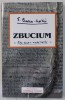 ZBUCIUM , FILE DINTR-O VIATA TRAITA de EMIL BOCSA - MALIN , 2023