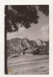 RF66 -Carte Postala- Predeal , Cabana Poiana Secuilor, circulata 1964