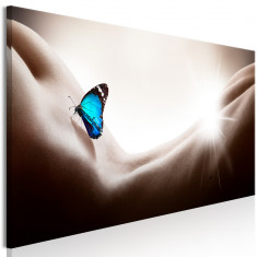 Tablou canvas - Femeie Si fluture Inguste - 135 x 45 cm foto