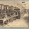 AD 450 C. P. VECHE -PARIS -LYCEE BUFFON -COLLECTIONS DE PHYSIQUE-LICEU-LABORATOR