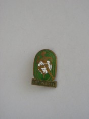 QW9 J 97 - Insigna - tematica pionieri - sport - atletism - tot inainte