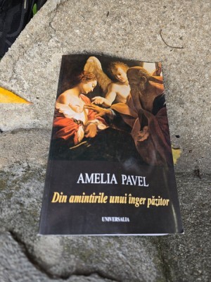Din amintirile unui &amp;icirc;nger păzitor - Amelia Pavel foto