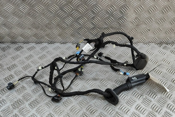 Cablaj ușă dreapta față BMW X7 G07 2023 OEM: 5A47901 31089092