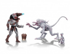 Alien &amp;amp; Predator Classics Action Figures 14 cm (Set 2 figurine) foto