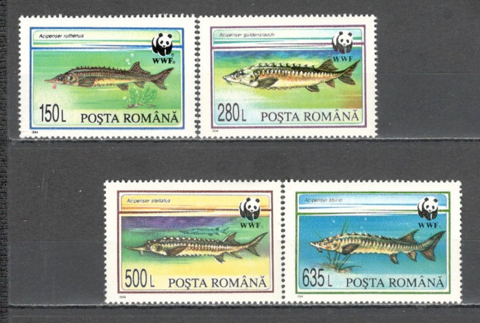 Romania.1994 Portejarea naturii:Pesti-Sturioni ZR.928