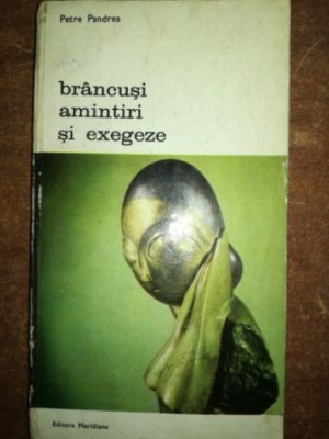 Brancusi amintiri si exegeze- Petre Pandrea foto