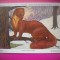 HOPCT 6235 JDER-MARTES MARTES -MUSTELIDE -FAUNA EUROPA-CP CHROMO LITHO -MUZEUL REGAL STIINTE NATURALE BELGIA-NECIRCULATA