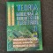 TEORIA MODERNA A CIRCUITELOR ELECTRICE - VOL 1.LUCIA DUMITRIU ȘI MIHAI IORDACHE