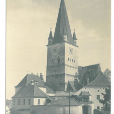 929 - CISNADIE, Sibiu, Romania - old postcard, real PHOTO - unused