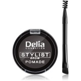 Delia Cosmetics Eyebrow Expert pomadă pentru spr&acirc;ncene culoare Graphite 4 g
