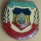 QW9 N8 1 - insigna - tematica militara - comunism - Apararea patriei