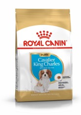 ROYAL CANIN CAVALIER KING CHARLES JUNIOR - 1,5 kg foto