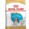 ROYAL CANIN CAVALIER KING CHARLES JUNIOR - 1,5 kg