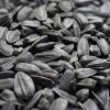 Semințe de floarea soarelui, m&acirc;ncare pentru păsări, semințe floarea soarelui negre, 25 kg