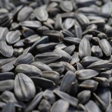Semințe de floarea soarelui, m&acirc;ncare pentru păsări, semințe floarea soarelui negre, 25 kg