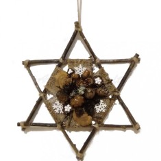 Stea handmade din elemente naturale decor rustic de Craciun